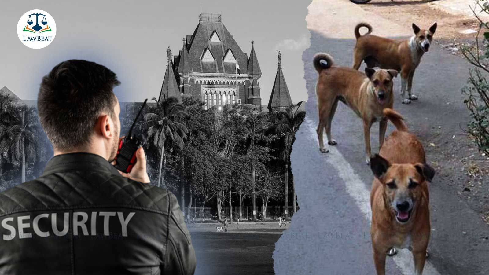 Bombay High Court Orders Action Against Security Guards Scaring Away Dogs With Sticks Bombay High Court Orders Action Against Security Guards Scaring Away Dogs With Sticks